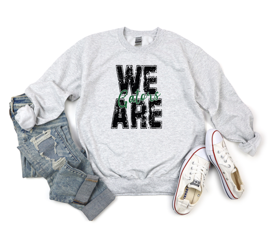 We Are Gators Ash Sweatshirt